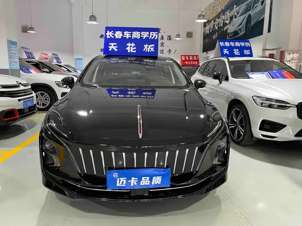 Hongqi E-QM5 2023 из CN, фото 9