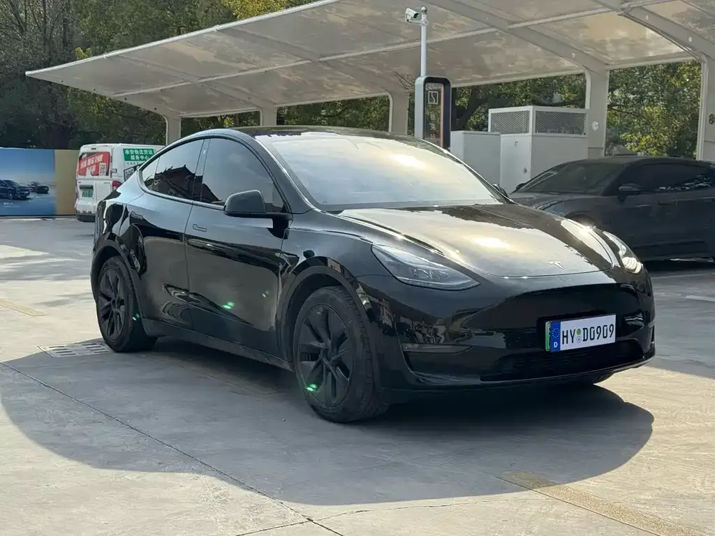 Tesla Model Y — фото 10