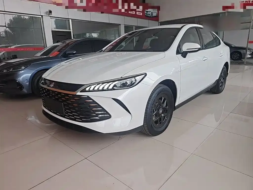 BYD Qin PLUS — фото 1