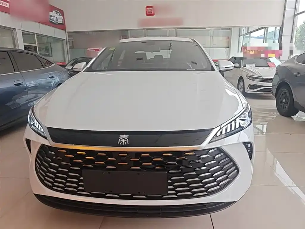 BYD Qin PLUS — фото 5