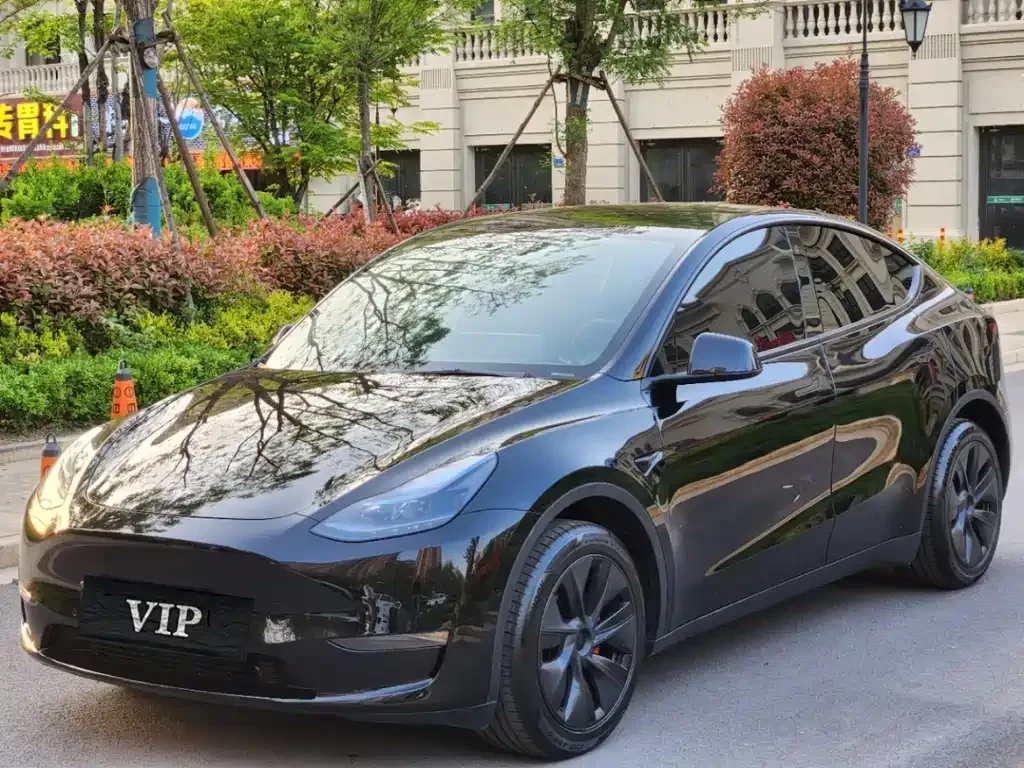 Tesla Model Y — фото 1