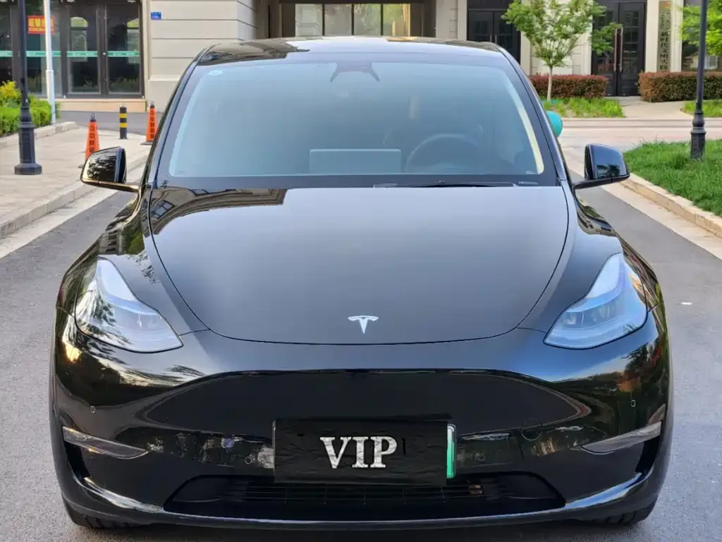 Tesla Model Y — фото 6