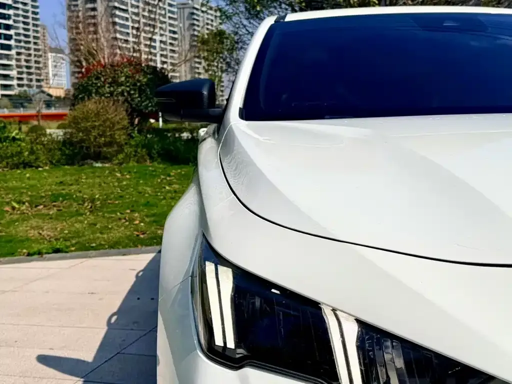 GAC Motor Shadow Leopard — фото 6