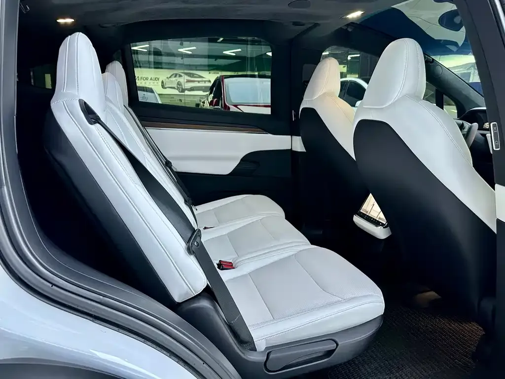 Tesla Model X 2023 из CN, фото 8
