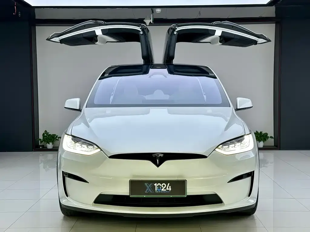 Tesla Model X 2023 из CN, фото 2