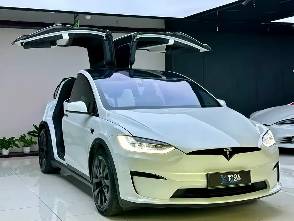 Tesla Model X 2023 из CN, фото 10