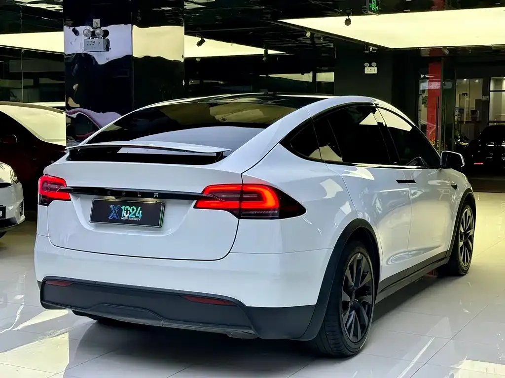 Tesla Model X 2023 из CN, фото 5