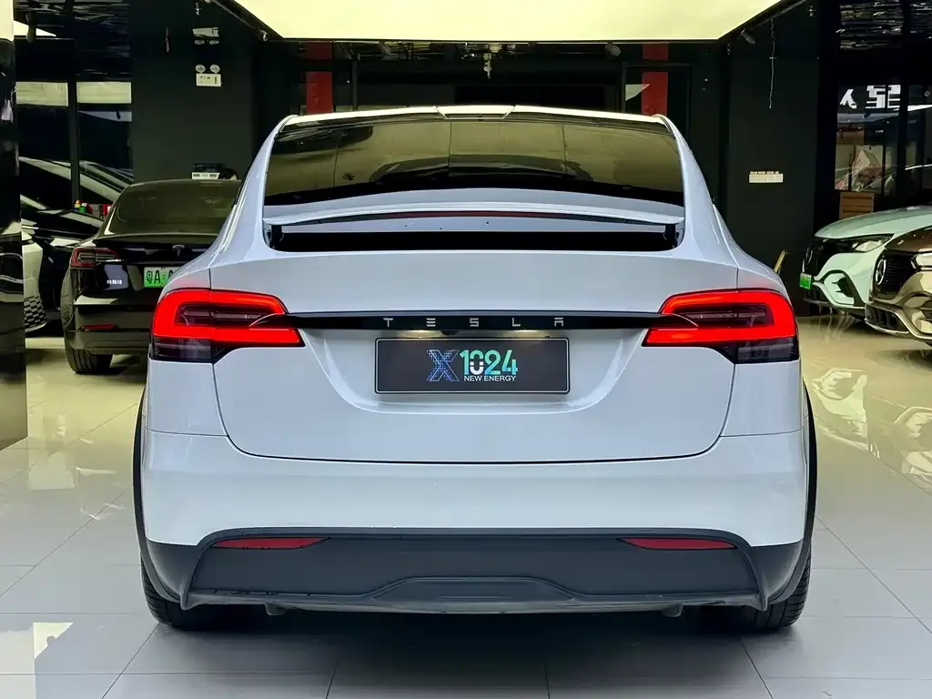 Tesla Model X 2023 из CN, фото 6