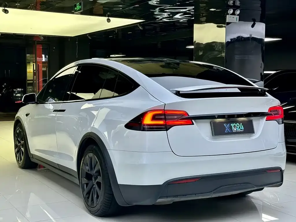 Tesla Model X 2023 из CN, фото 7
