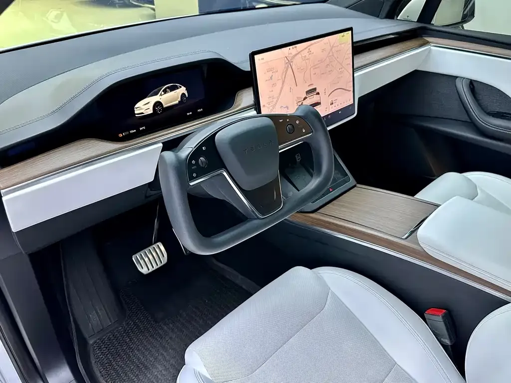 Tesla Model X 2023 из CN, фото 4