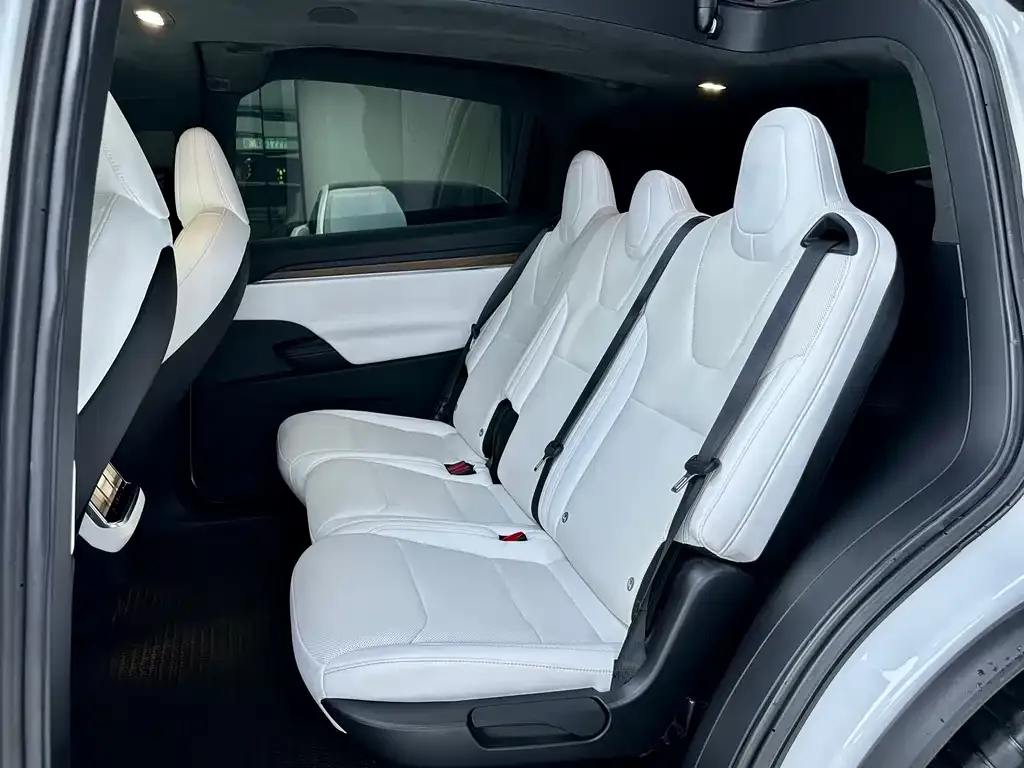 Tesla Model X 2023 из CN, фото 9