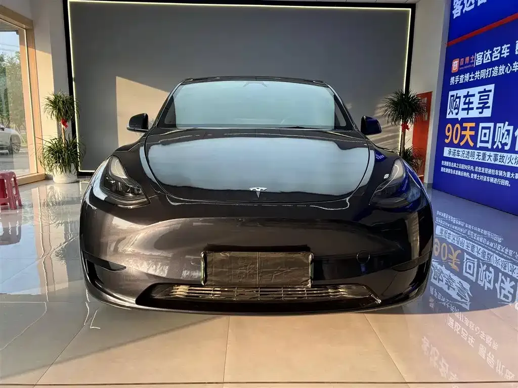 Tesla Model Y — фото 2