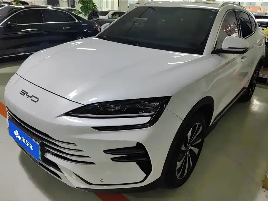 BYD PLUS New Energy — фото 1