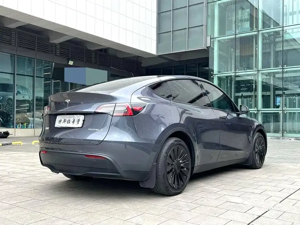 Tesla Model Y — фото 8
