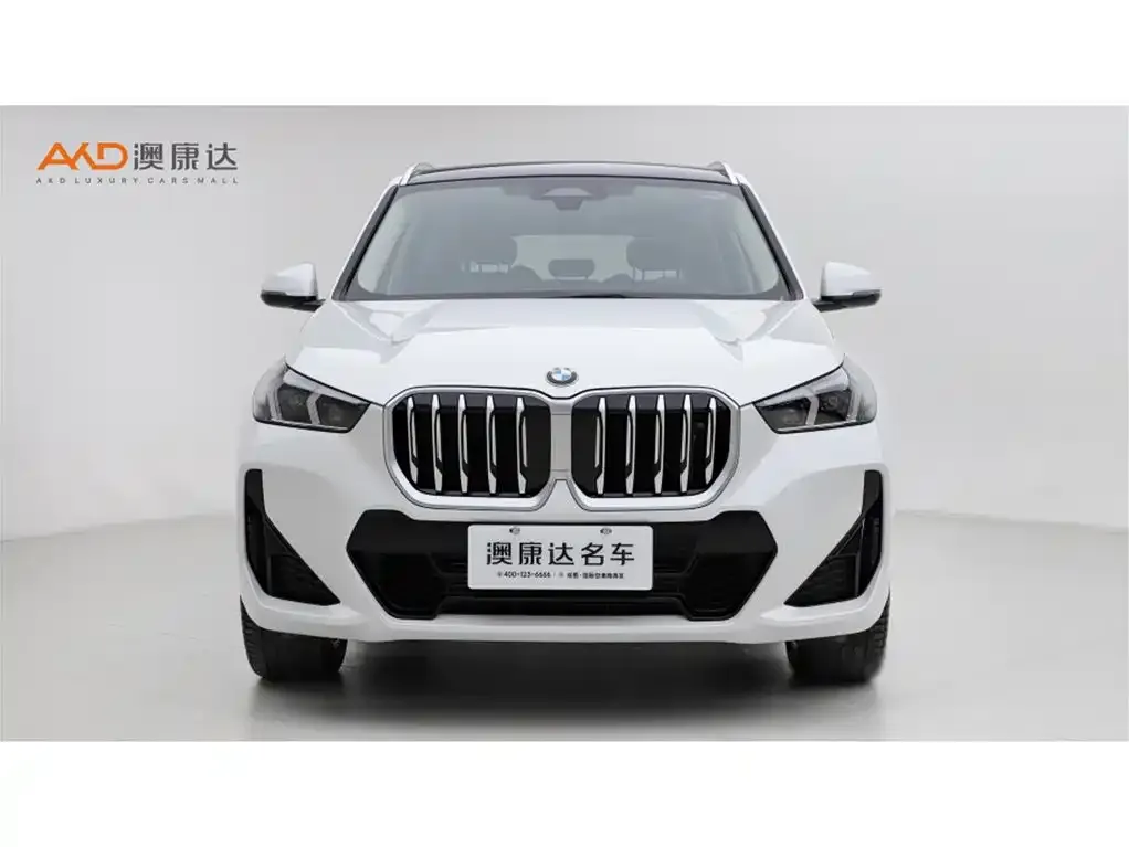 BMW X1 2024 из CN, фото 3