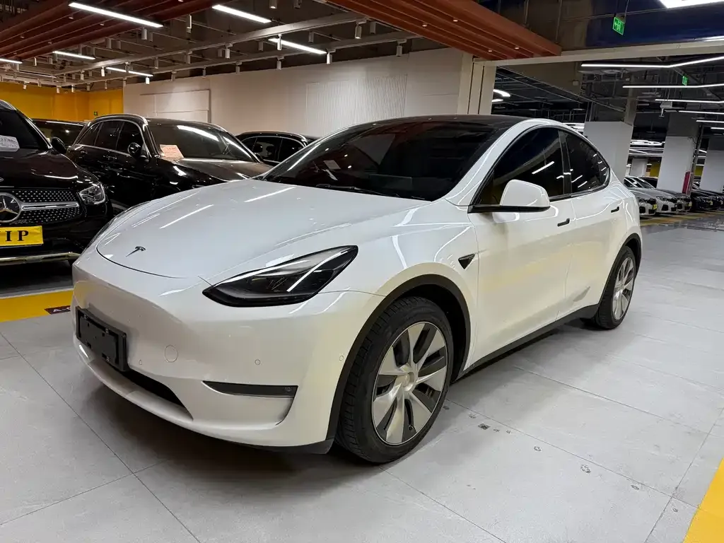 Tesla Model Y — фото 1