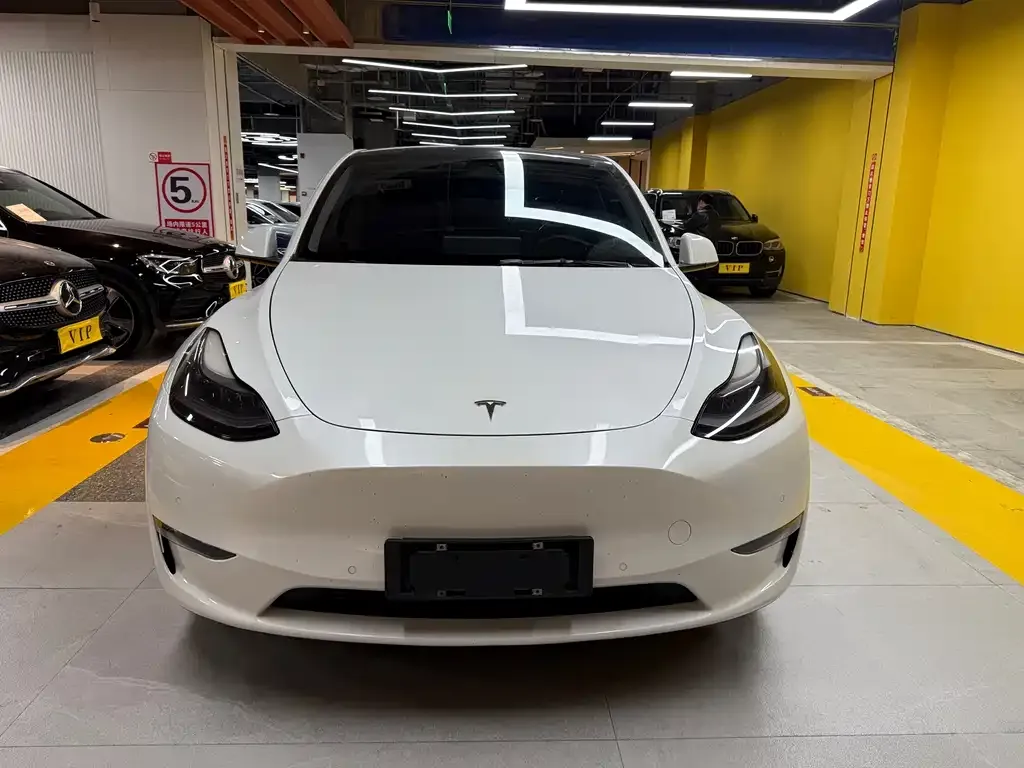 Tesla Model Y — фото 3