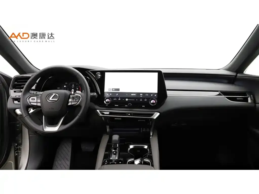 Lexus RX — фото 10