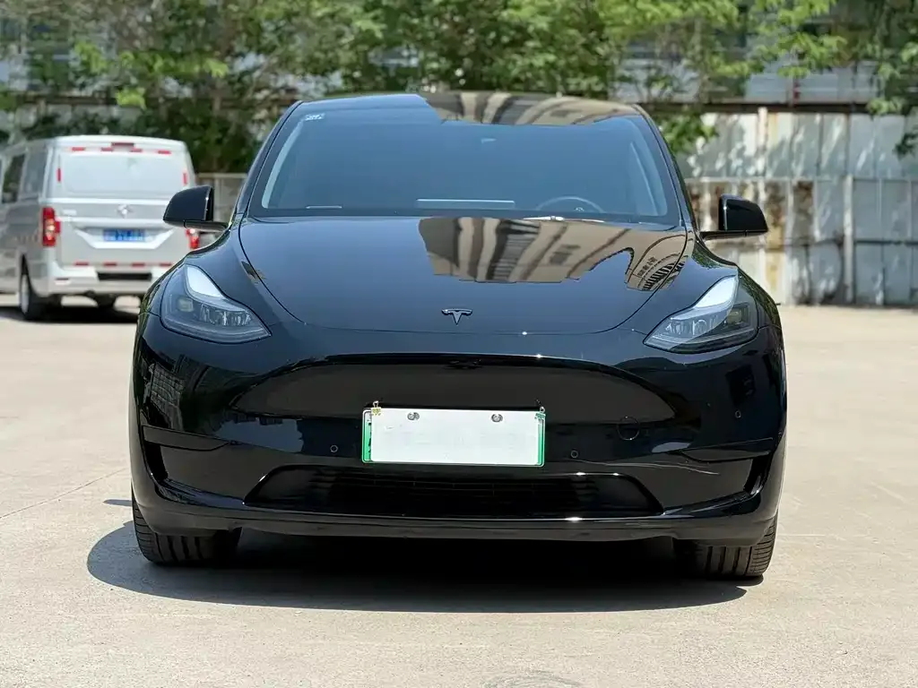 Tesla Model Y — фото 10