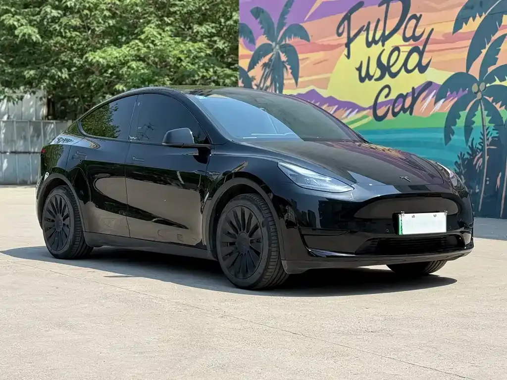 Tesla Model Y — фото 9