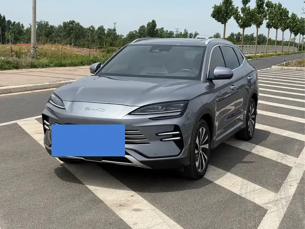 BYD PLUS New Energy