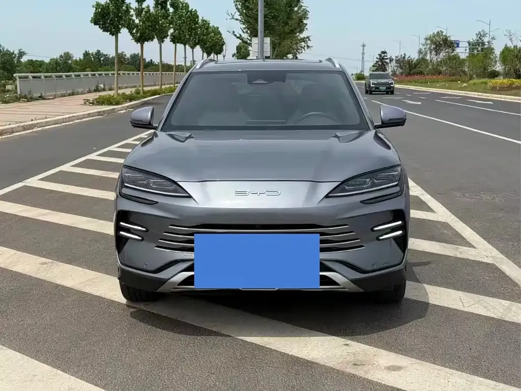 BYD PLUS New Energy 2024 из CN, фото 5