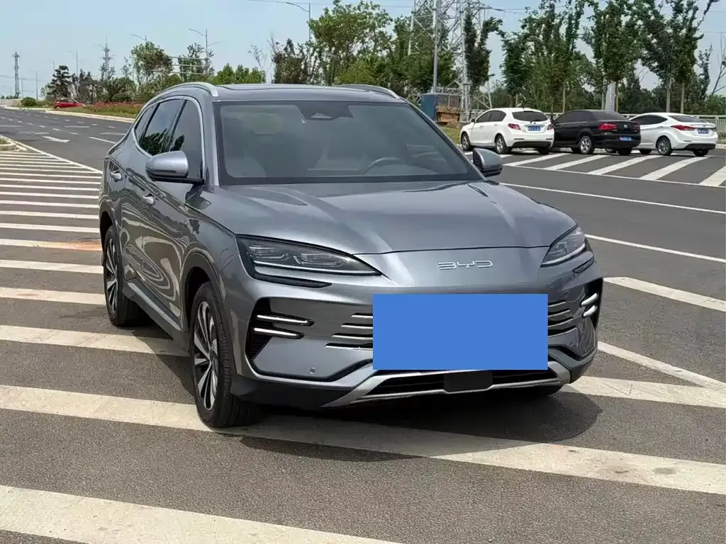 BYD PLUS New Energy 2024 из CN, фото 2