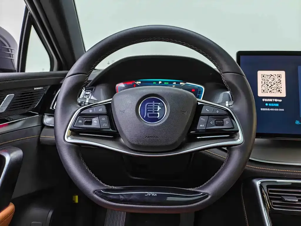 BYD Tang New Energy 2024 из CN, фото 8