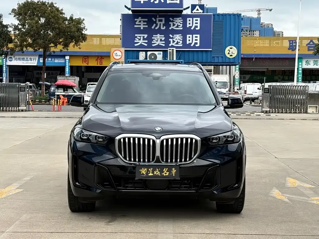 BMW X5 — фото 9