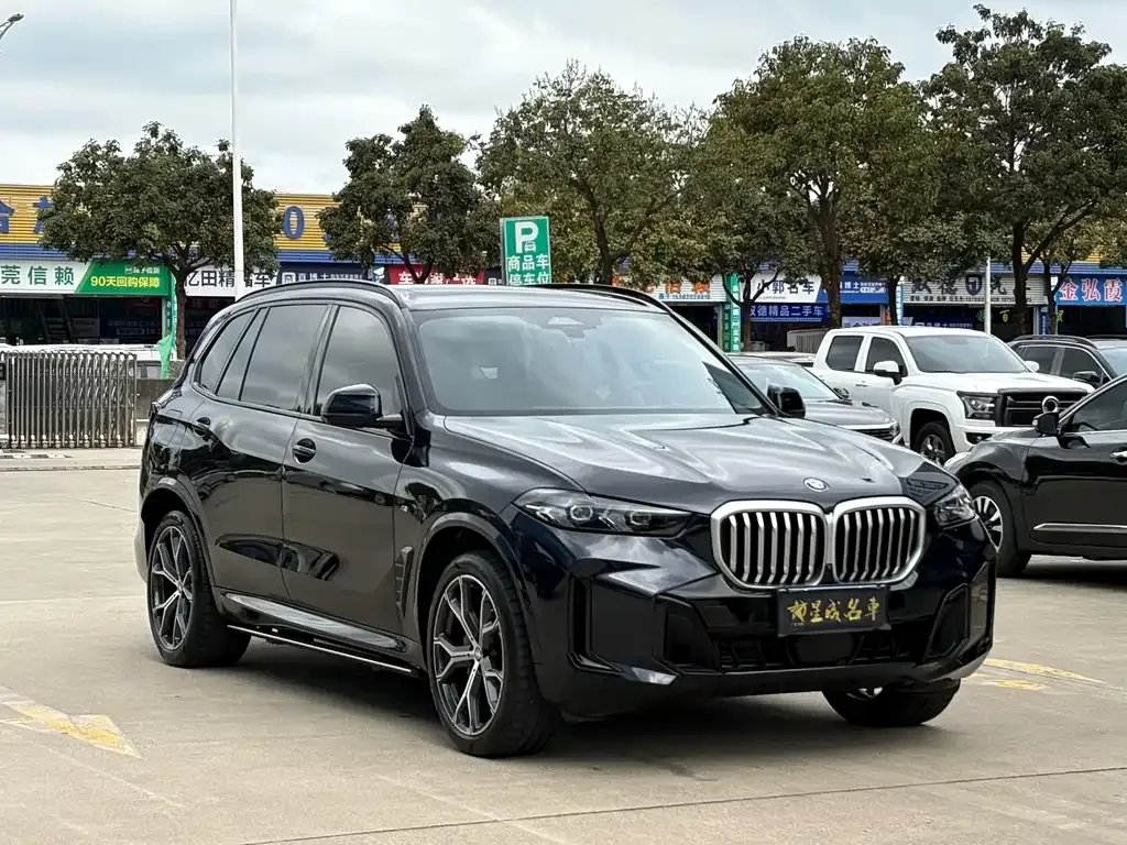 BMW X5 — фото 3
