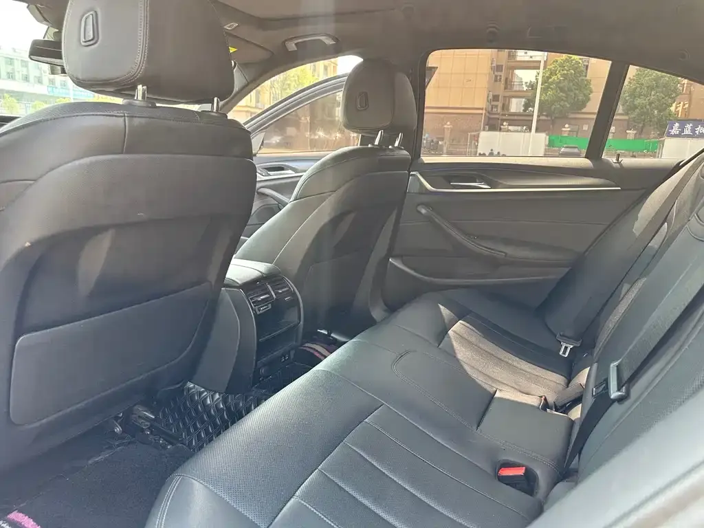 BMW 5 Series (Import) 2021 из CN, фото 2