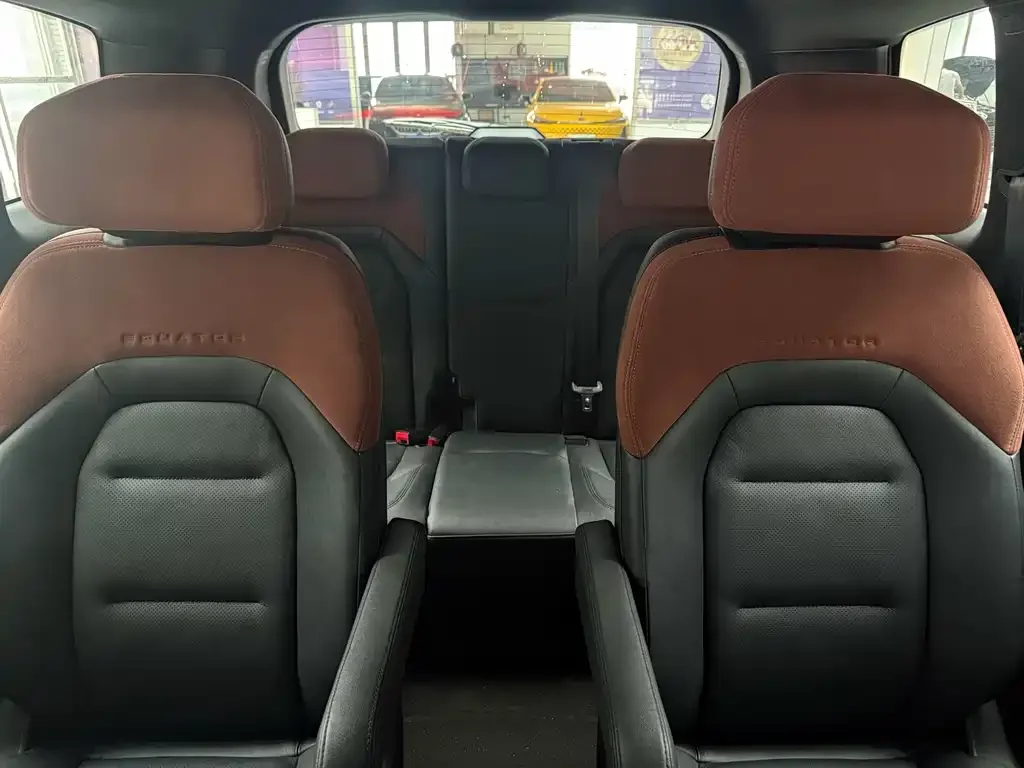 Ford Lingyu New Energy 2024 из CN, фото 2