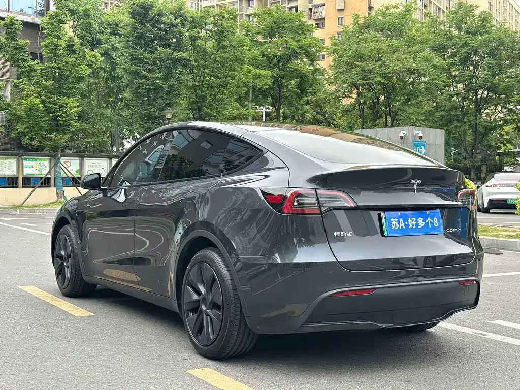 Tesla Model Y — фото 8