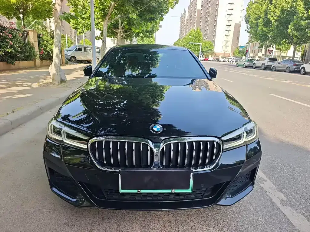 BMW 5 Series New Energy
