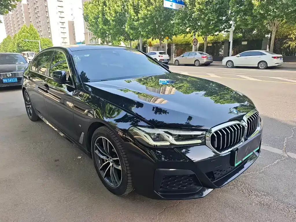 BMW 5 Series New Energy 2021 из CN, фото 3