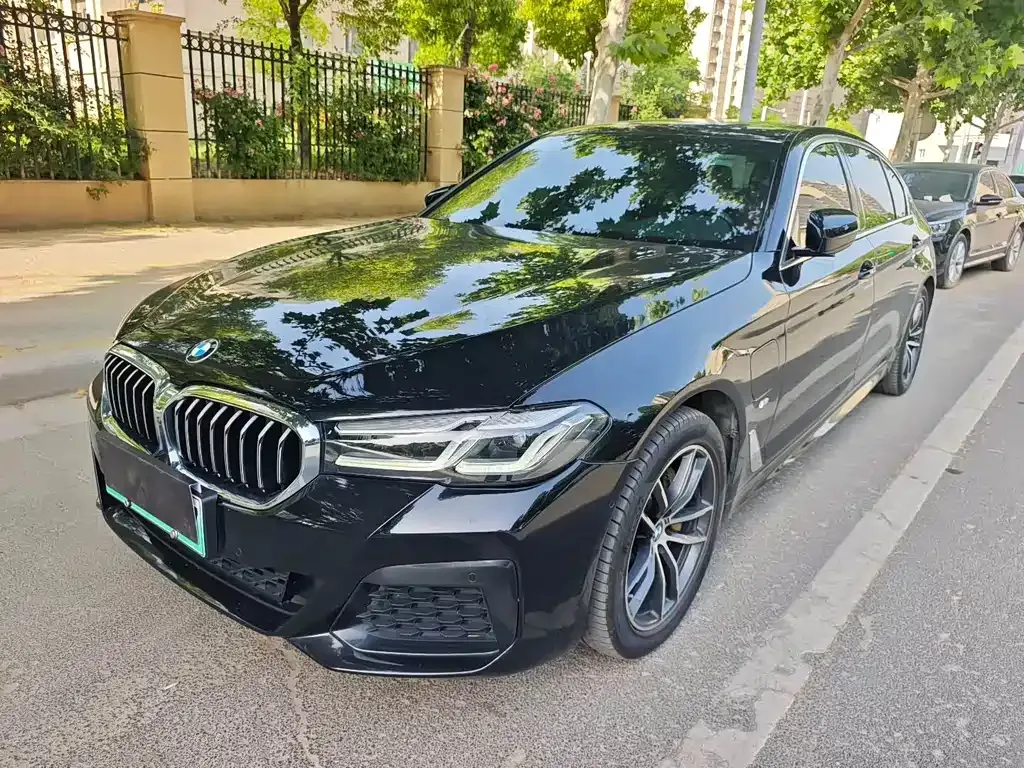 BMW 5 Series New Energy 2021 из CN, фото 5