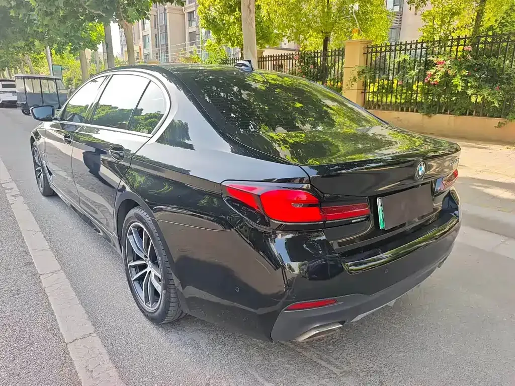 BMW 5 Series New Energy 2021 из CN, фото 9