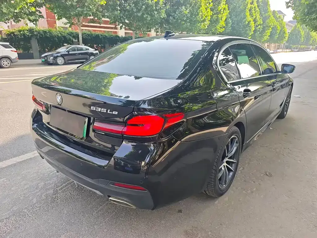 BMW 5 Series New Energy 2021 из CN, фото 6