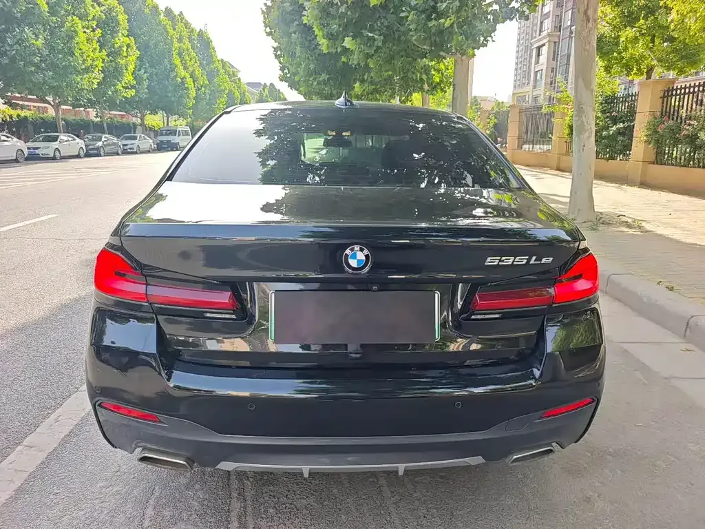 BMW 5 Series New Energy 2021 из CN, фото 8