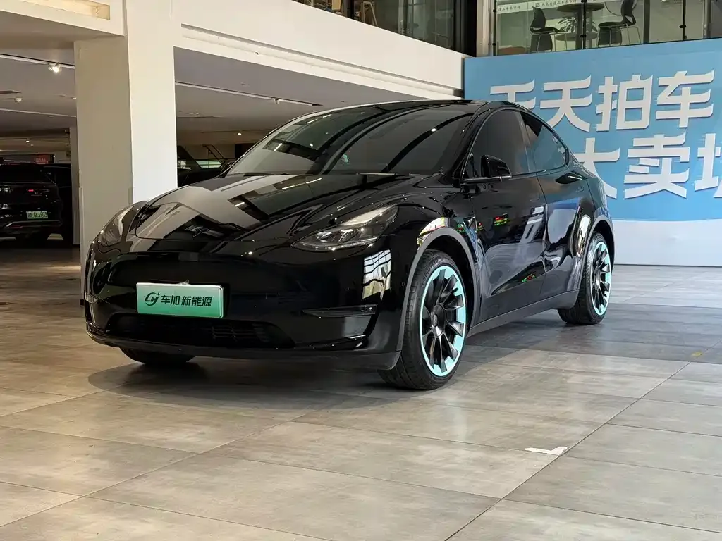 Tesla Model Y — фото 1