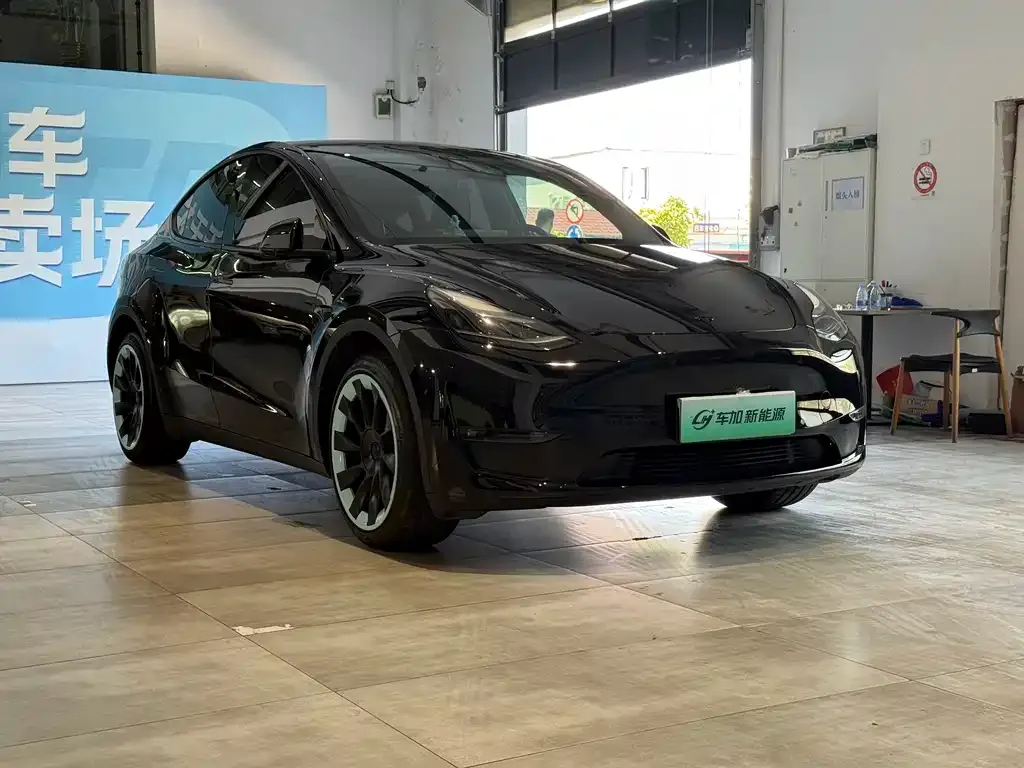 Tesla Model Y — фото 6