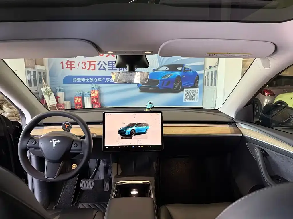 Tesla Model Y — фото 9