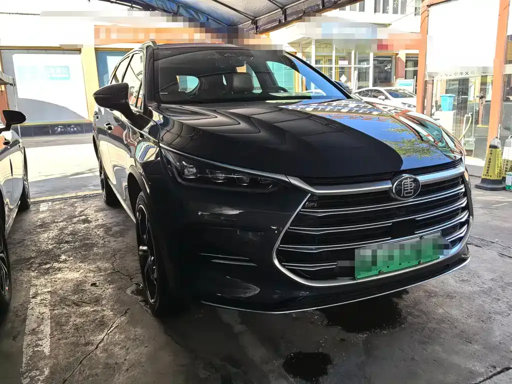 BYD Tang New Energy 2021 из CN, фото 4
