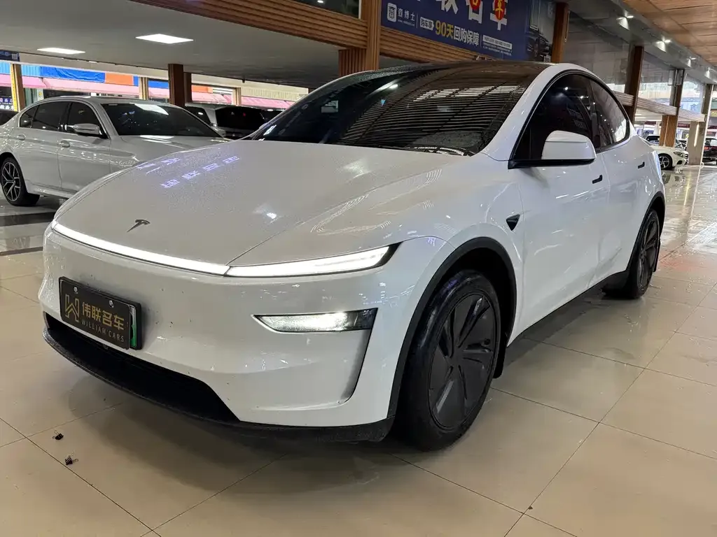 Tesla Model Y 2025 из CN, фото 1