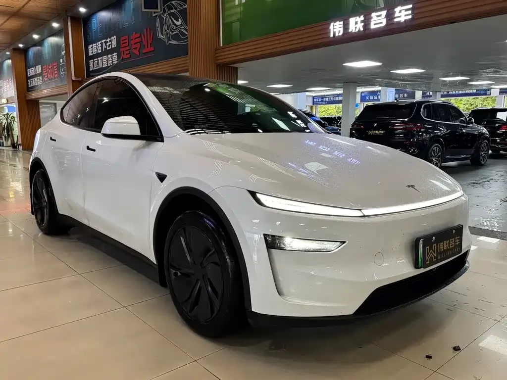Tesla Model Y 2025 из CN, фото 7