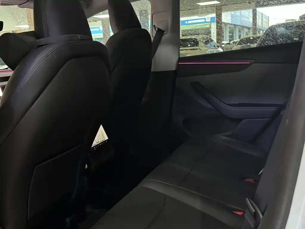Tesla Model Y 2025 из CN, фото 2