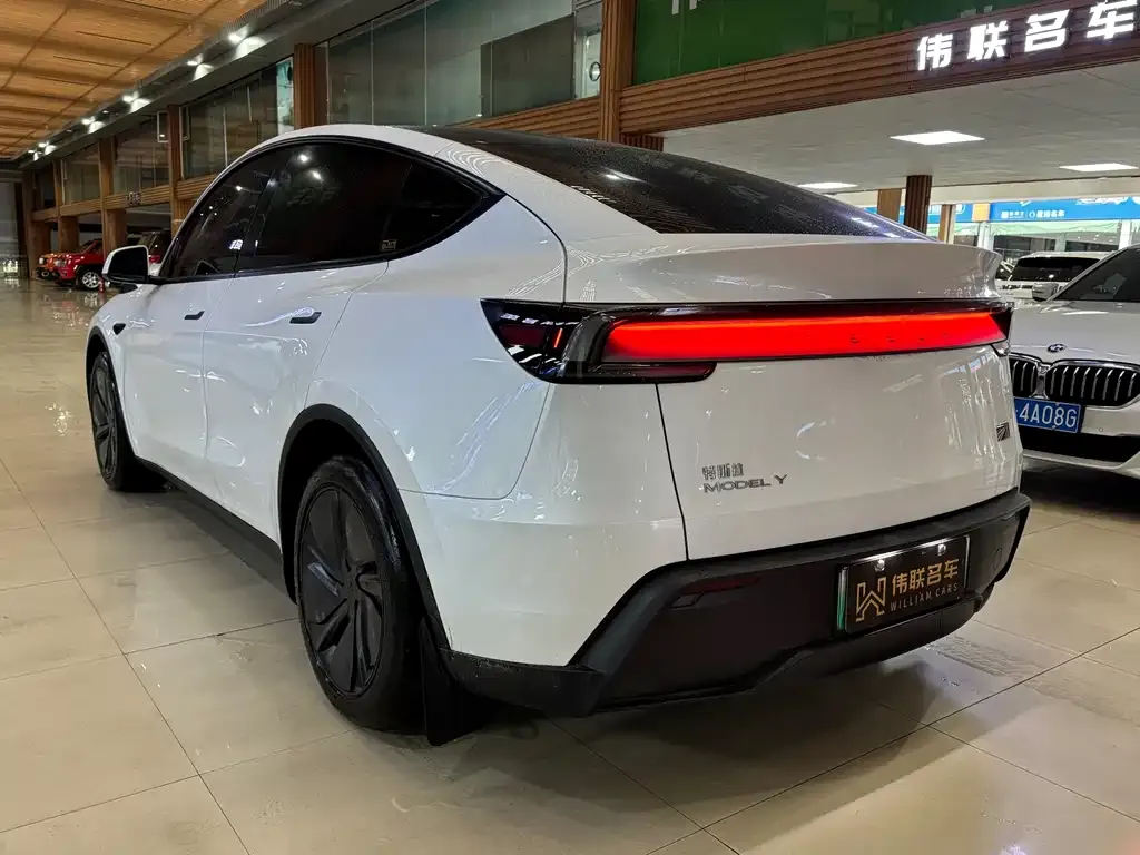 Tesla Model Y 2025 из CN, фото 5
