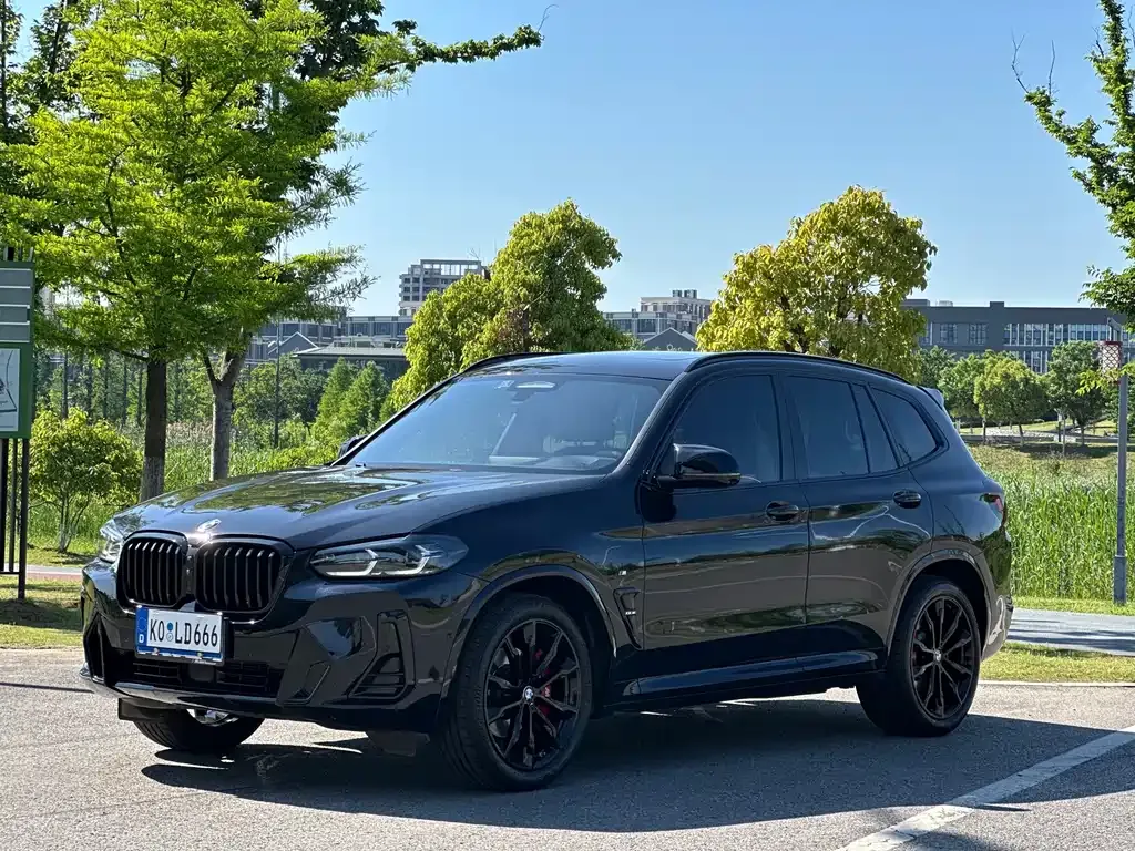 BMW X3 — фото 1