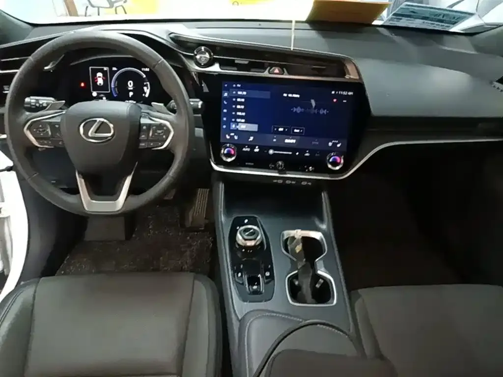 Lexus RZ — фото 10