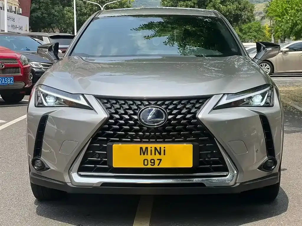 Lexus UX New Energy 2021 из CN, фото 7